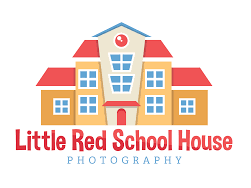 Little Red School House X